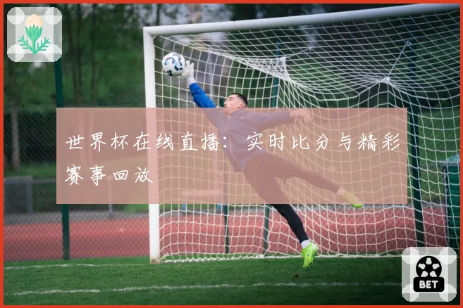 世界杯在线直播：实时比分与精彩赛事回放